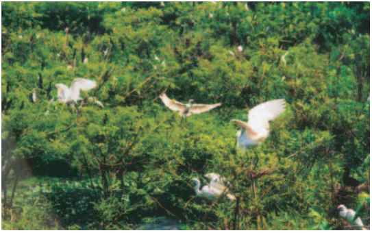 hinh-anh-bai-22-thanh-pho-can-tho-894-4