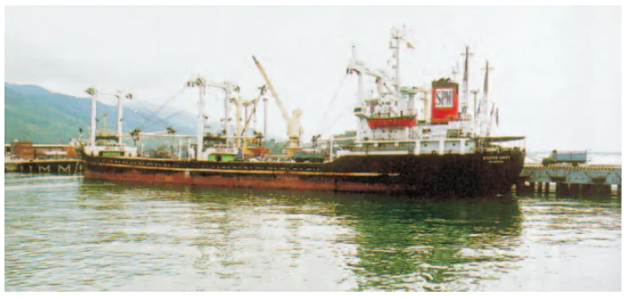 hinh-anh-bai-28-thanh-pho-da-nang-1115-1