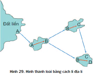 hinh-anh-bai-29-qua-trinh-hinh-thanh-loai-3421-0