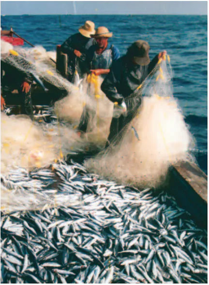 hinh-anh-bai-30-khai-thac-khoang-san-va-hai-san-o-vung-bien-viet-nam-1127-2