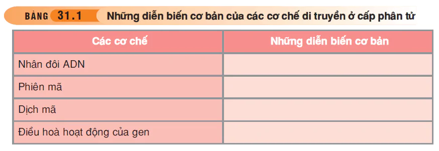 hinh-anh-bai-31-on-tap-phan-nam-di-truyen-hoc-3504-0