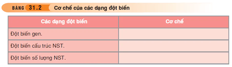 hinh-anh-bai-31-on-tap-phan-nam-di-truyen-hoc-3504-3