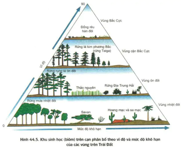 hinh-anh-bai-44-chu-trinh-sinh-dia-hoa-va-sinh-quyen-3458-1
