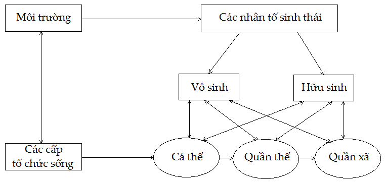 hinh-anh-bai-47-on-tap-phan-tien-hoa-va-sinh-thai-hoc-3461-2