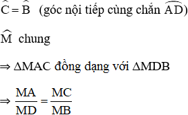 hinh-anh-bai-2-mat-cau-3779-29