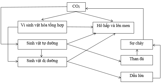 hinh-anh-bai-61-cac-chu-trinh-sinh-dia-hoa-trong-he-sinh-thai-3550-1