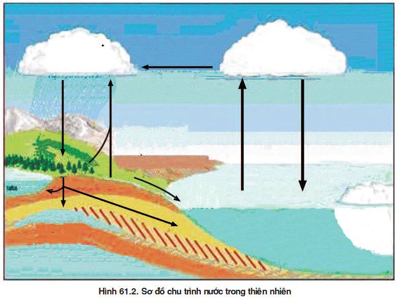 hinh-anh-bai-61-cac-chu-trinh-sinh-dia-hoa-trong-he-sinh-thai-3550-0