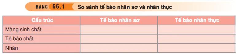 hinh-anh-bai-66-tong-ket-toan-cap-3555-0