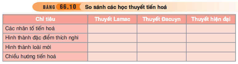 hinh-anh-bai-66-tong-ket-toan-cap-3555-9