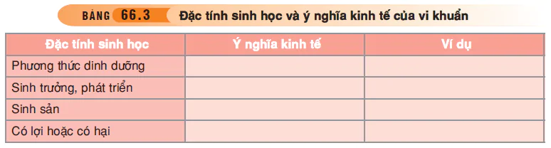 hinh-anh-bai-66-tong-ket-toan-cap-3555-2