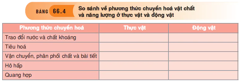 hinh-anh-bai-66-tong-ket-toan-cap-3555-3