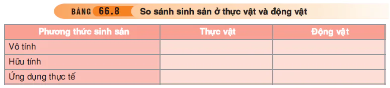 hinh-anh-bai-66-tong-ket-toan-cap-3555-7