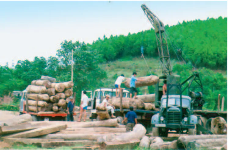 hinh-anh-bai-8-hoat-dong-san-xuat-cua-nguoi-dan-o-tay-nguyen-tiep-theo-870-4