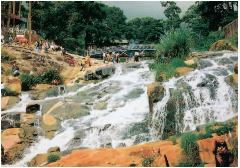 hinh-anh-bai-9-thanh-pho-da-lat-875-1