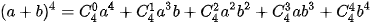 hinh-anh-bai-25-nhi-thuc-newton-12059-21