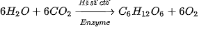 hinh-anh-bai-14-phan-giai-va-tong-hop-cac-chat-trong-te-bao-12835-35