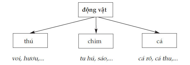 hinh-anh-cap-do-khai-quat-cua-nghia-tu-ngu-2034-0