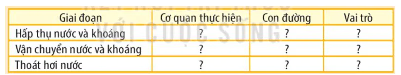 hinh-anh-bai-2-trao-doi-nuoc-va-khoang-o-thuc-vat-3479-0