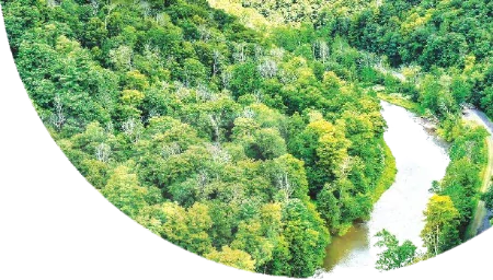 hinh-anh-con-nguoi-va-thien-nhien-11163-0