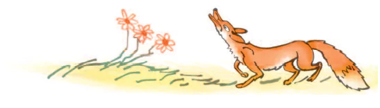 hinh-anh-tap-doc-ga-trong-va-cao-1479-1