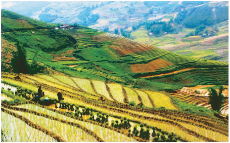 hinh-anh-bai-3-hoat-dong-san-xuat-cua-nguoi-dan-o-hoang-lien-son-694-0