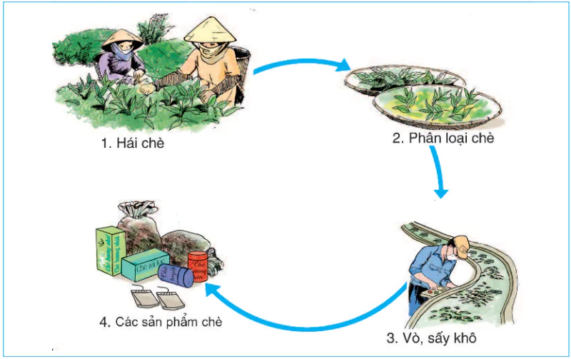 hinh-anh-bai-4-trung-du-bac-bo-696-2
