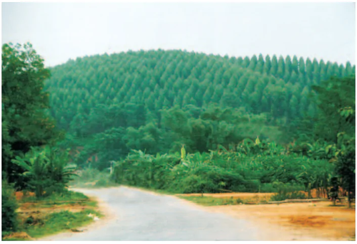 hinh-anh-bai-4-trung-du-bac-bo-696-3