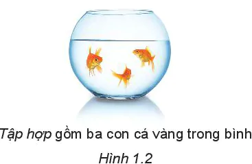 hinh-anh-bai-1-tap-hop-5701-1
