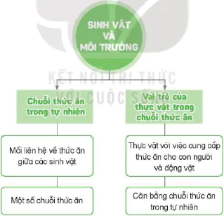 hinh-anh-bai-31-on-tap-chu-de-sinh-vat-va-moi-truong-8263-0