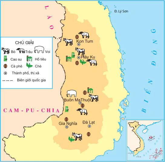 hinh-anh-bai-7-hoat-dong-san-xuat-cua-nguoi-dan-o-tay-nguyen-777-0