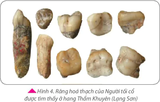 hinh-anh-bai-4-nguon-goc-loai-nguoi-5752-3