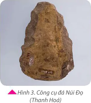 hinh-anh-bai-4-nguon-goc-loai-nguoi-5752-2