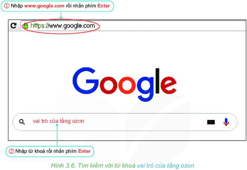 hinh-anh-bai-7-tim-kiem-thong-tin-tren-internet-5994-3