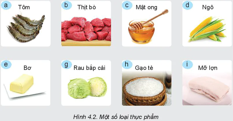hinh-anh-bai-4-thuc-pham-va-dinh-duong-5808-2