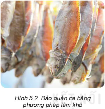 hinh-anh-bai-5-phuong-phap-bao-quan-va-che-bien-thuc-pham-5809-3