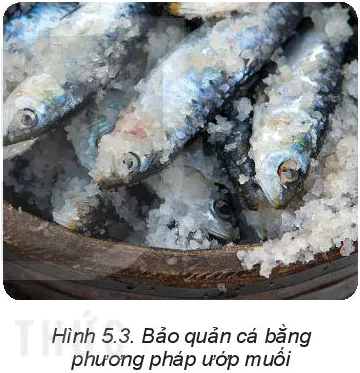 hinh-anh-bai-5-phuong-phap-bao-quan-va-che-bien-thuc-pham-5809-4