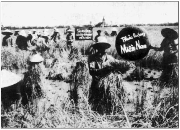 hinh-anh-bai-29-ca-nuoc-truc-tiep-chien-dau-chong-mi-cuu-nuoc-1965-1973-2527-5 hinh-anh-bai-29-ca-nuoc-truc-tiep-chien-dau-chong-mi-cuu-nuoc-1965-1973-2527-5