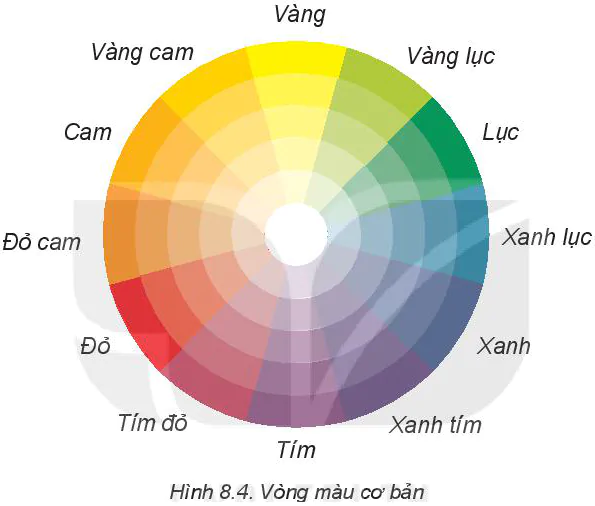 hinh-anh-bai-8-su-dung-va-bao-quan-trang-phuc-5878-4