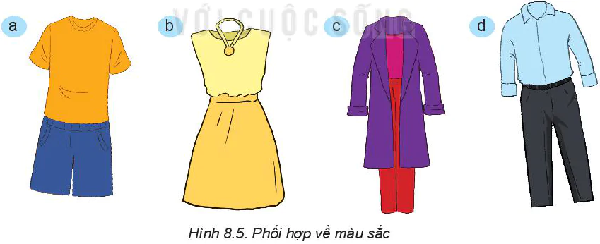 hinh-anh-bai-8-su-dung-va-bao-quan-trang-phuc-5878-5