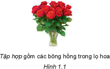 hinh-anh-bai-1-tap-hop-5701-0
