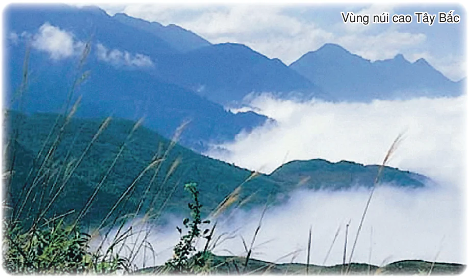 hinh-anh-bai-4-lich-su-hinh-thanh-va-phat-trien-lanh-tho-2849-0