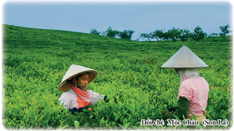 hinh-anh-bai-38-thuc-hanh-2893-0