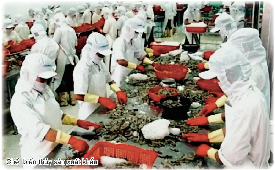 hinh-anh-bai-42-van-de-phat-trien-kinh-te-an-ninh-quoc-phong-o-bien-dong-va-cac-dao-quan-dao-2896-0