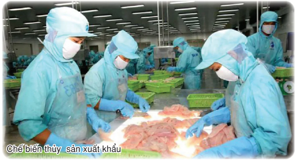 hinh-anh-bai-32-van-de-phat-trien-nganh-thuy-san-va-lam-nghiep-2931-0