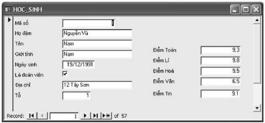 hinh-anh-bai-tap-va-thuc-hanh-4-tao-bieu-mau-don-gian-3095-0