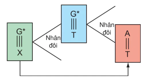 hinh-anh-bai-4-dot-bien-gen-3118-0