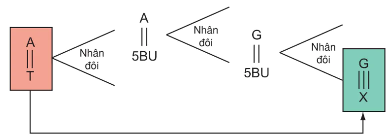 hinh-anh-bai-4-dot-bien-gen-3118-1