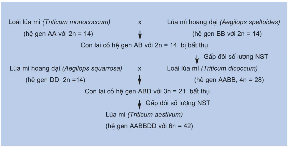 hinh-anh-bai-30-qua-trinh-hinh-thanh-loai-tiep-theo-3144-0