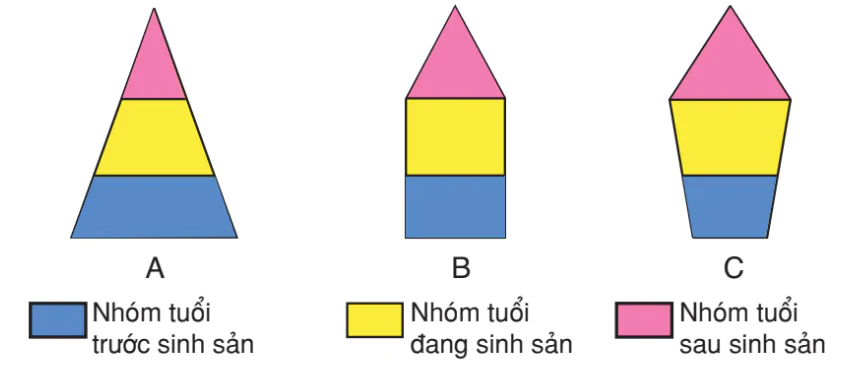 hinh-anh-bai-52-cac-dac-trung-co-ban-cua-quan-the-3200-2