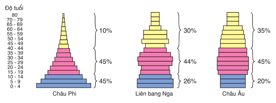hinh-anh-bai-52-cac-dac-trung-co-ban-cua-quan-the-3200-4